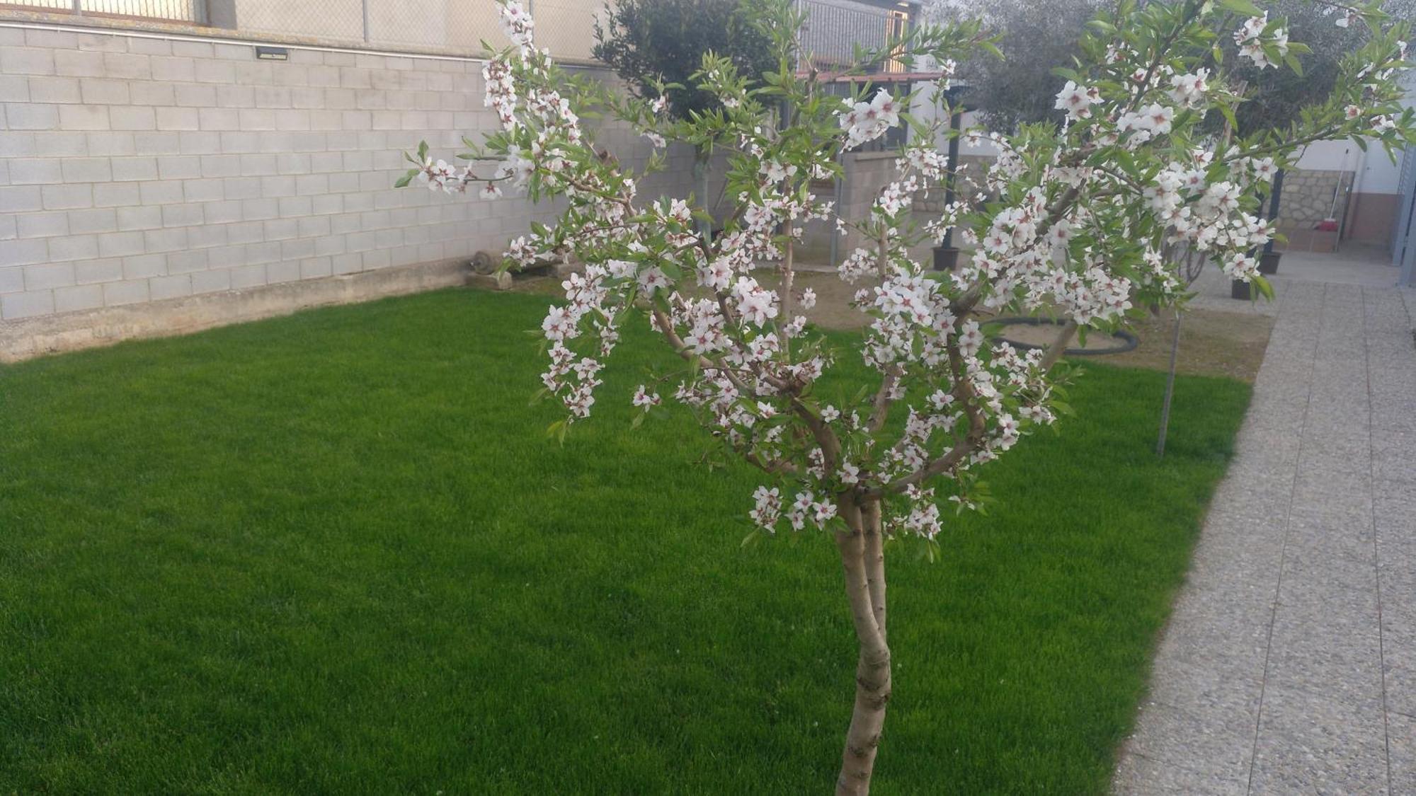 شقة Cal Jaumet Del Ton Vallverd المظهر الخارجي الصورة